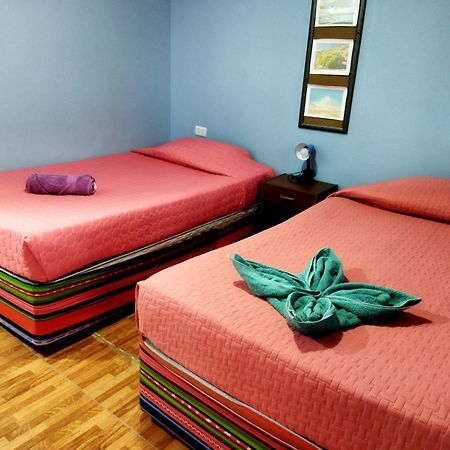 Hostal El Amigo Lucho 산 페드로 데 아타카마 외부 사진